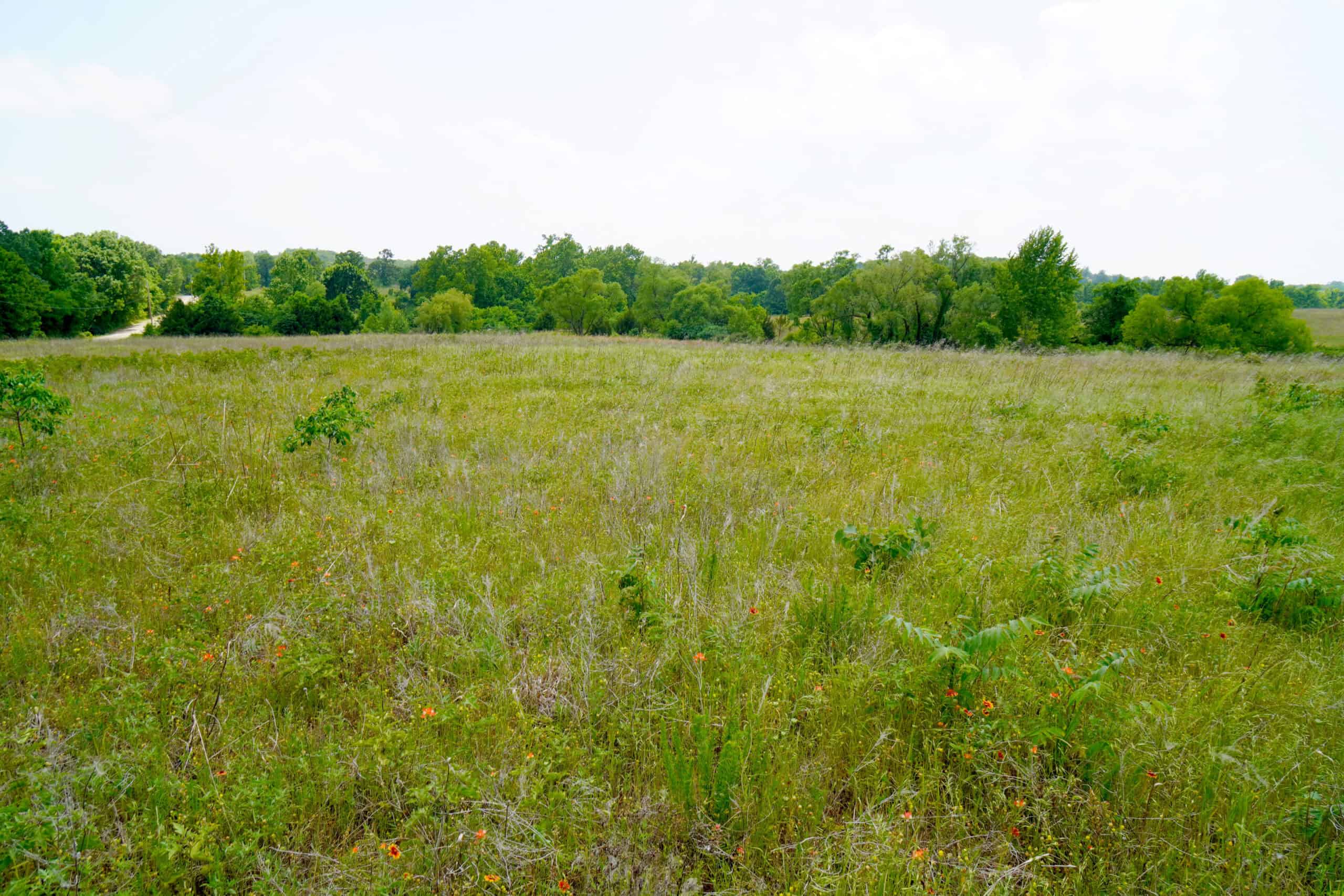 Creek County Recreational Homesite For Sale