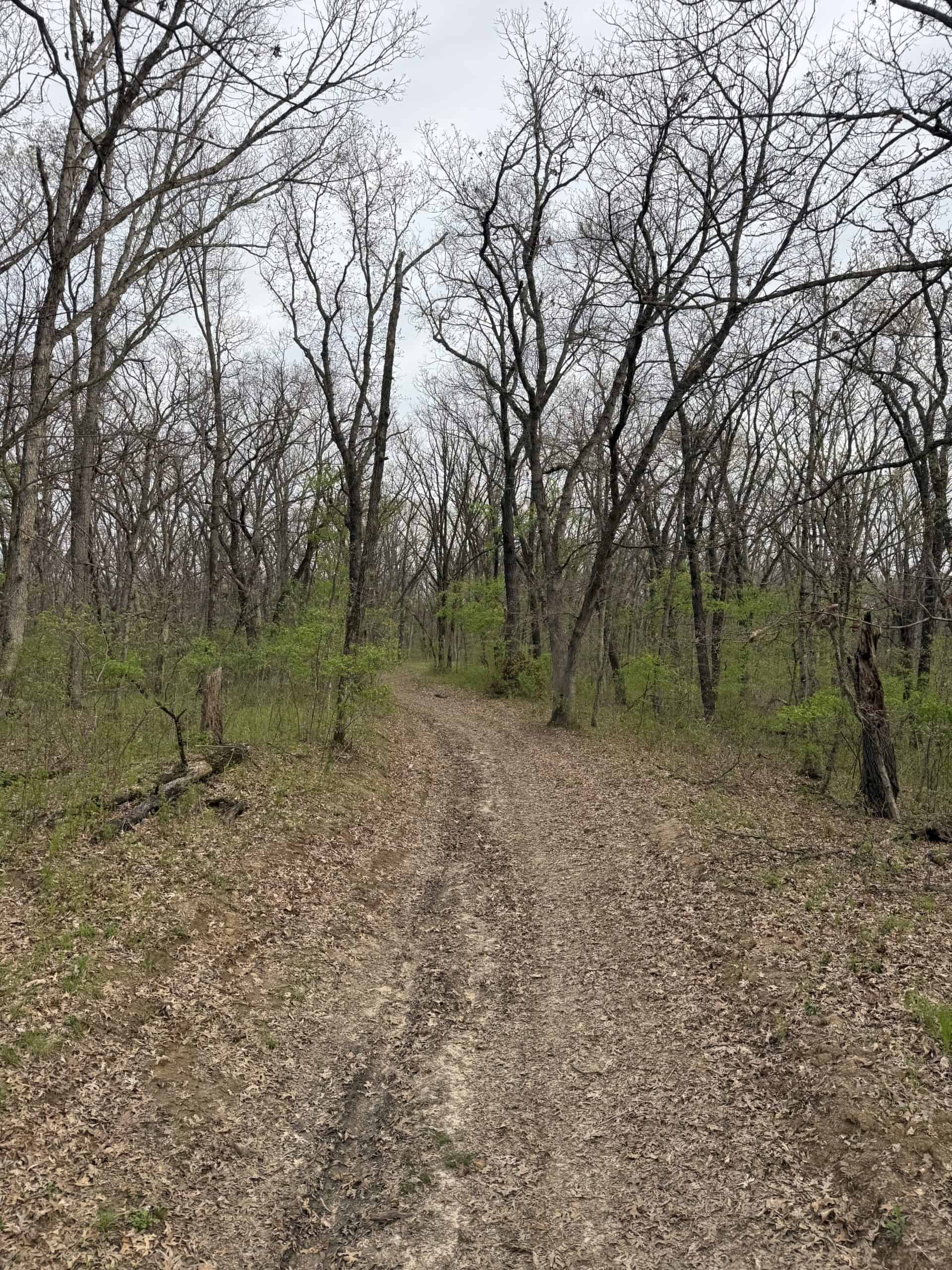 Northern MO Recreational Property 280 M/L acres