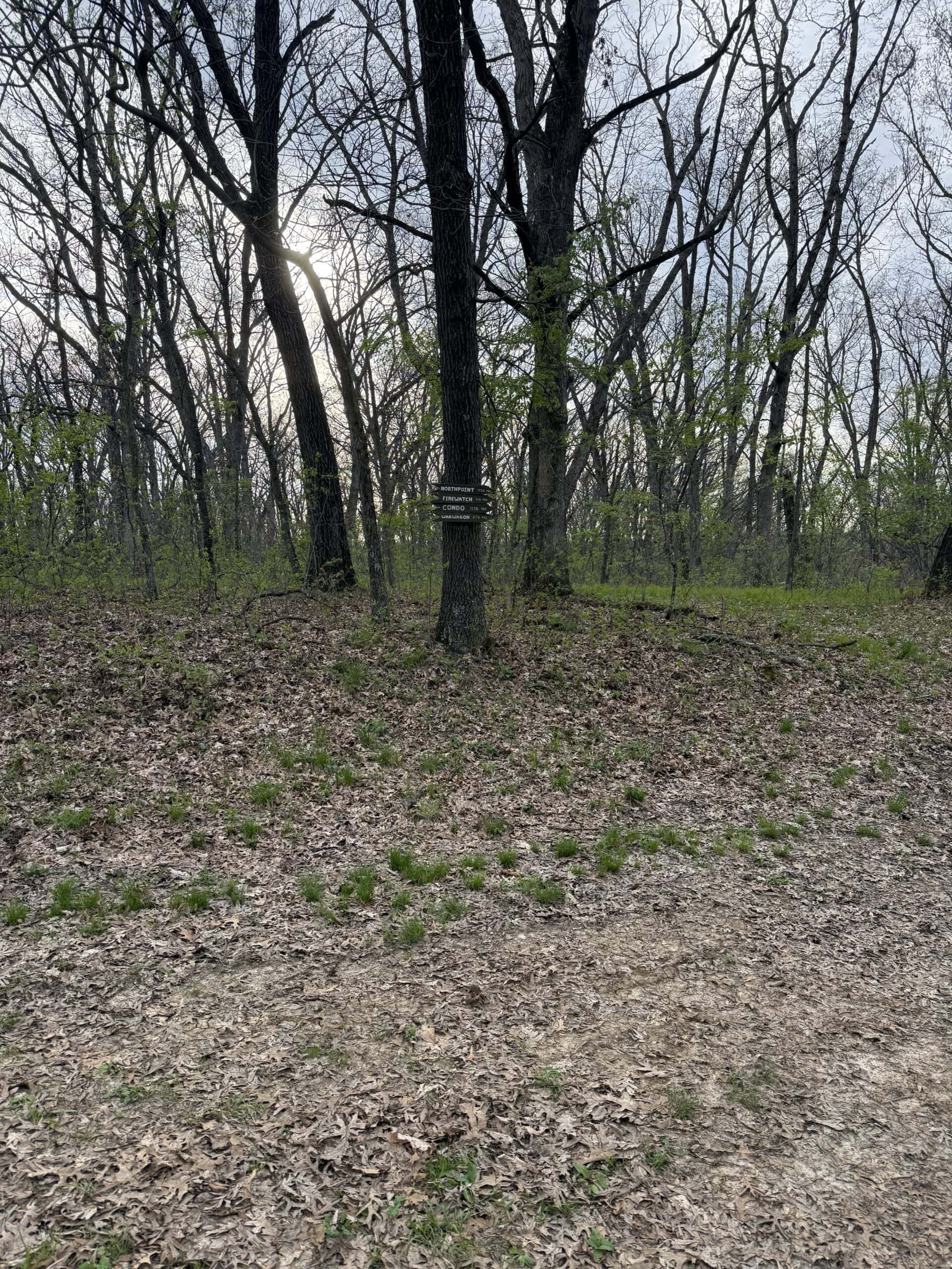 Northern MO Recreational Property 280 M/L acres