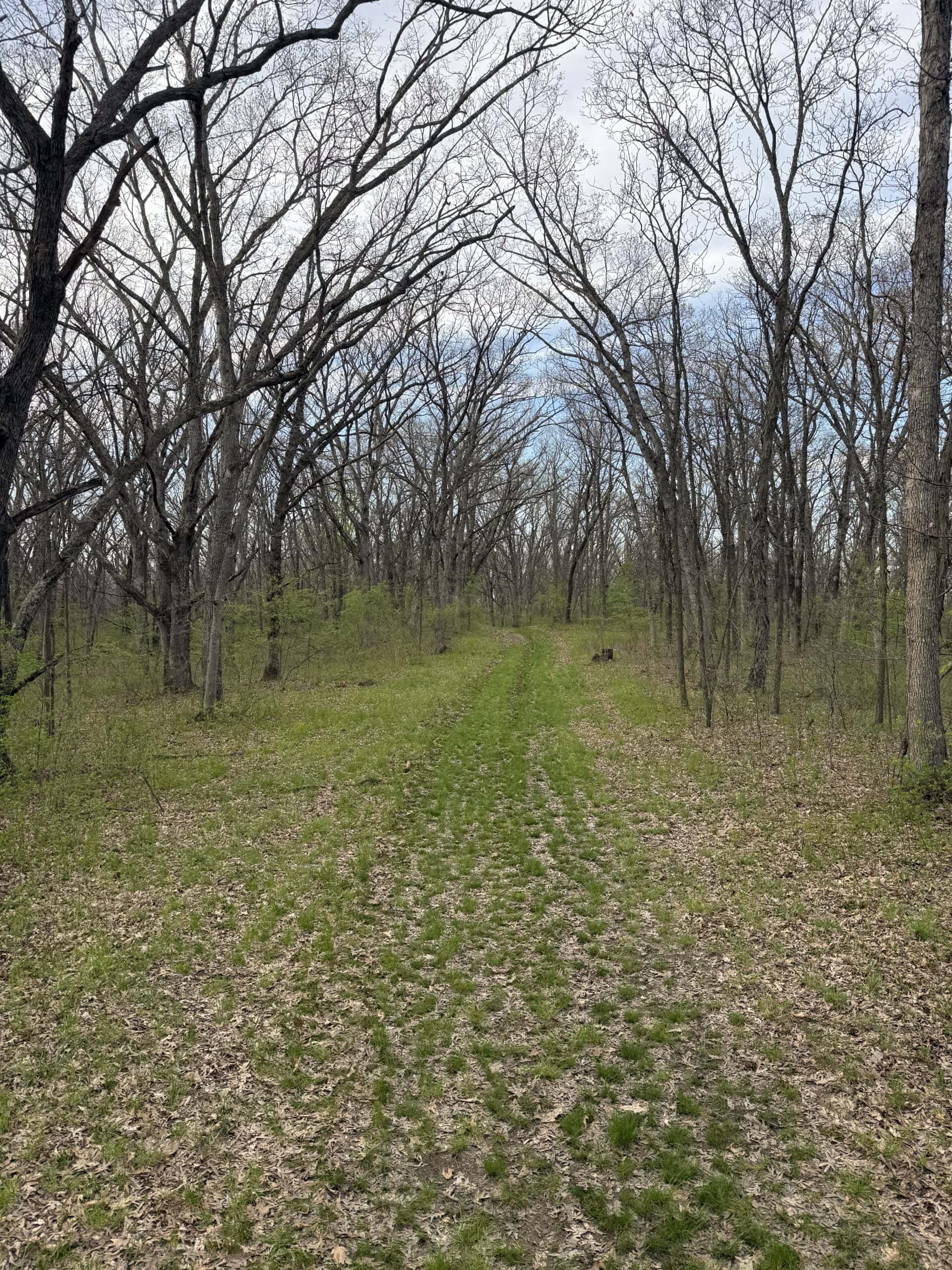 Northern MO Recreational Property 280 M/L acres