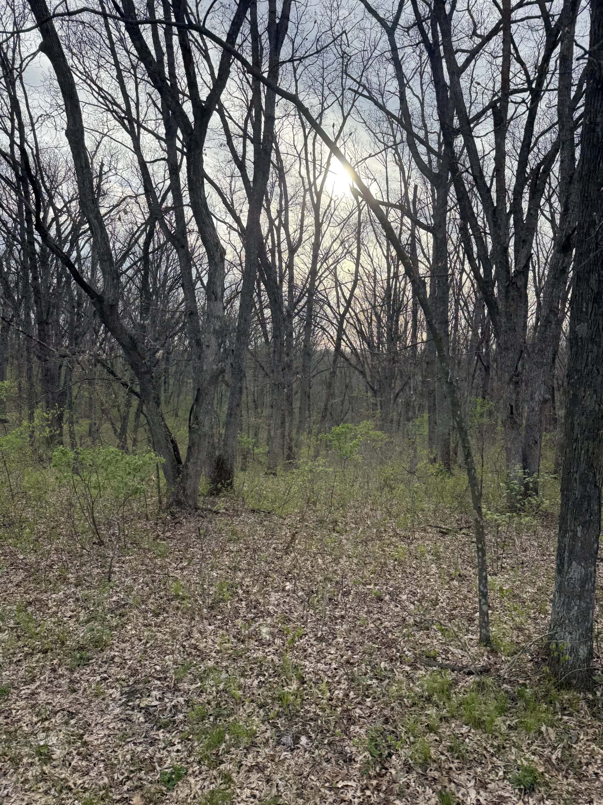 Northern MO Recreational Property 280 M/L acres