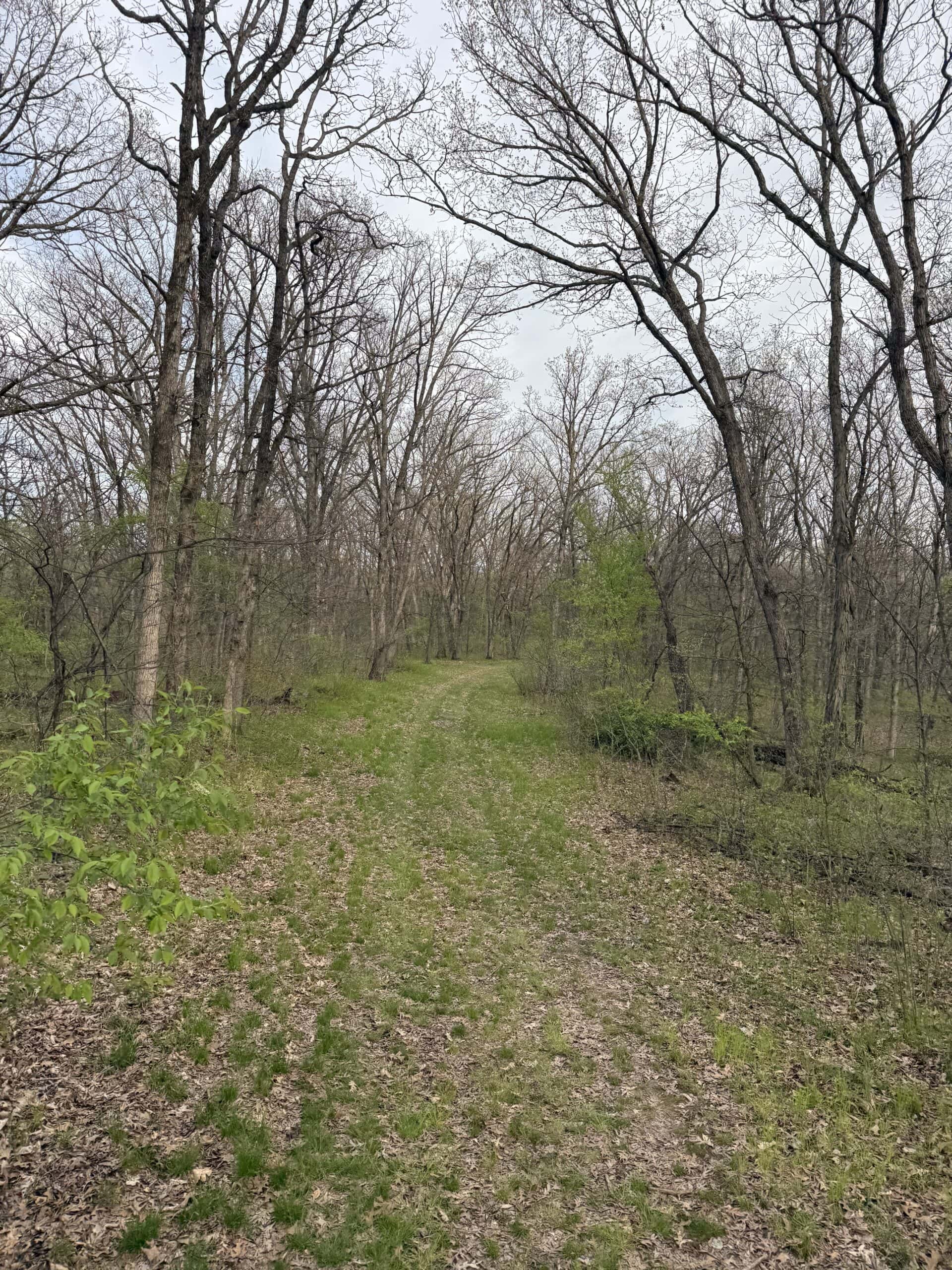 Northern MO Recreational Property 280 M/L acres