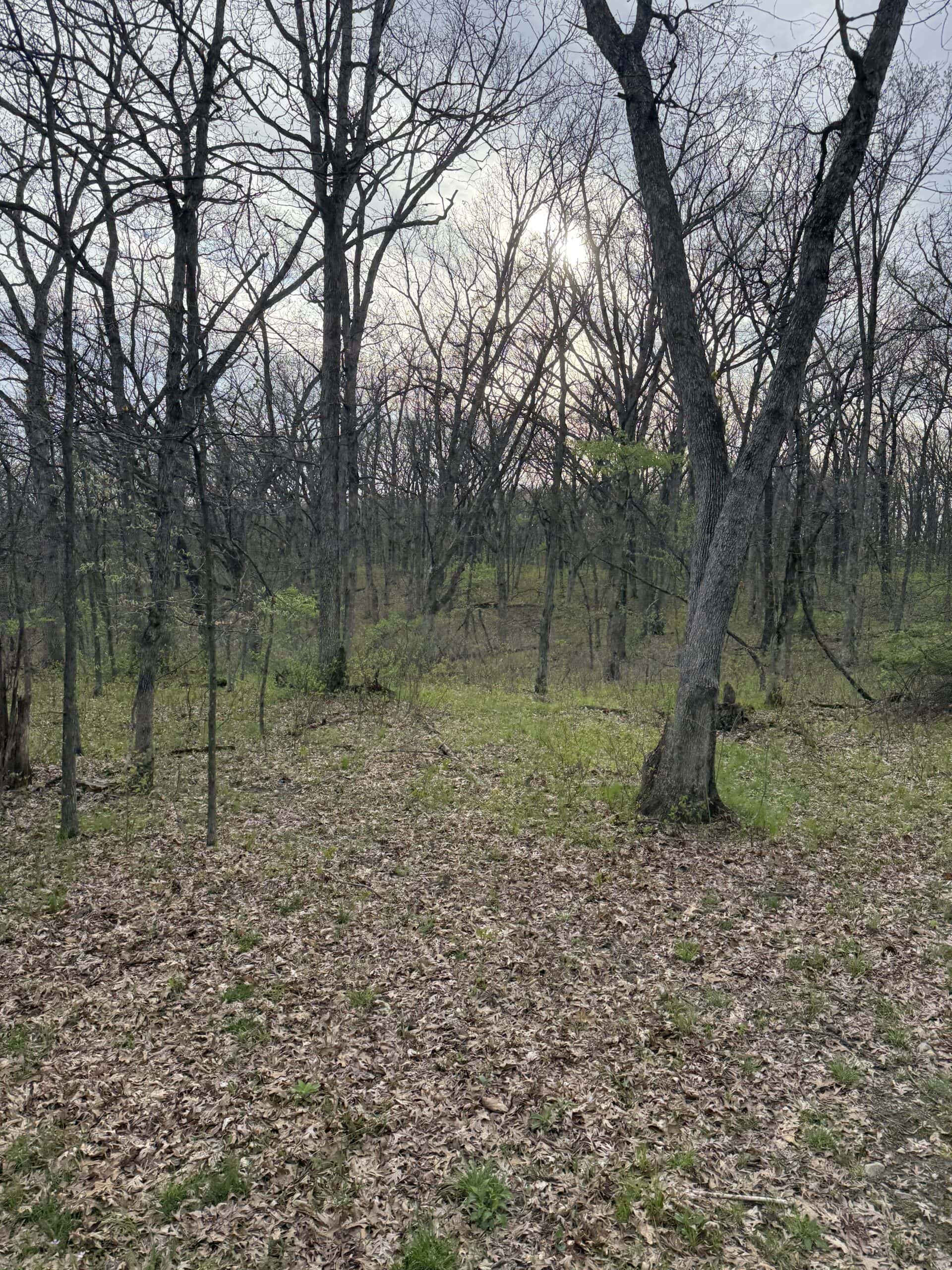 Northern MO Recreational Property 280 M/L acres
