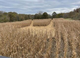 Northern MO Recreational Property 280 M/L acres