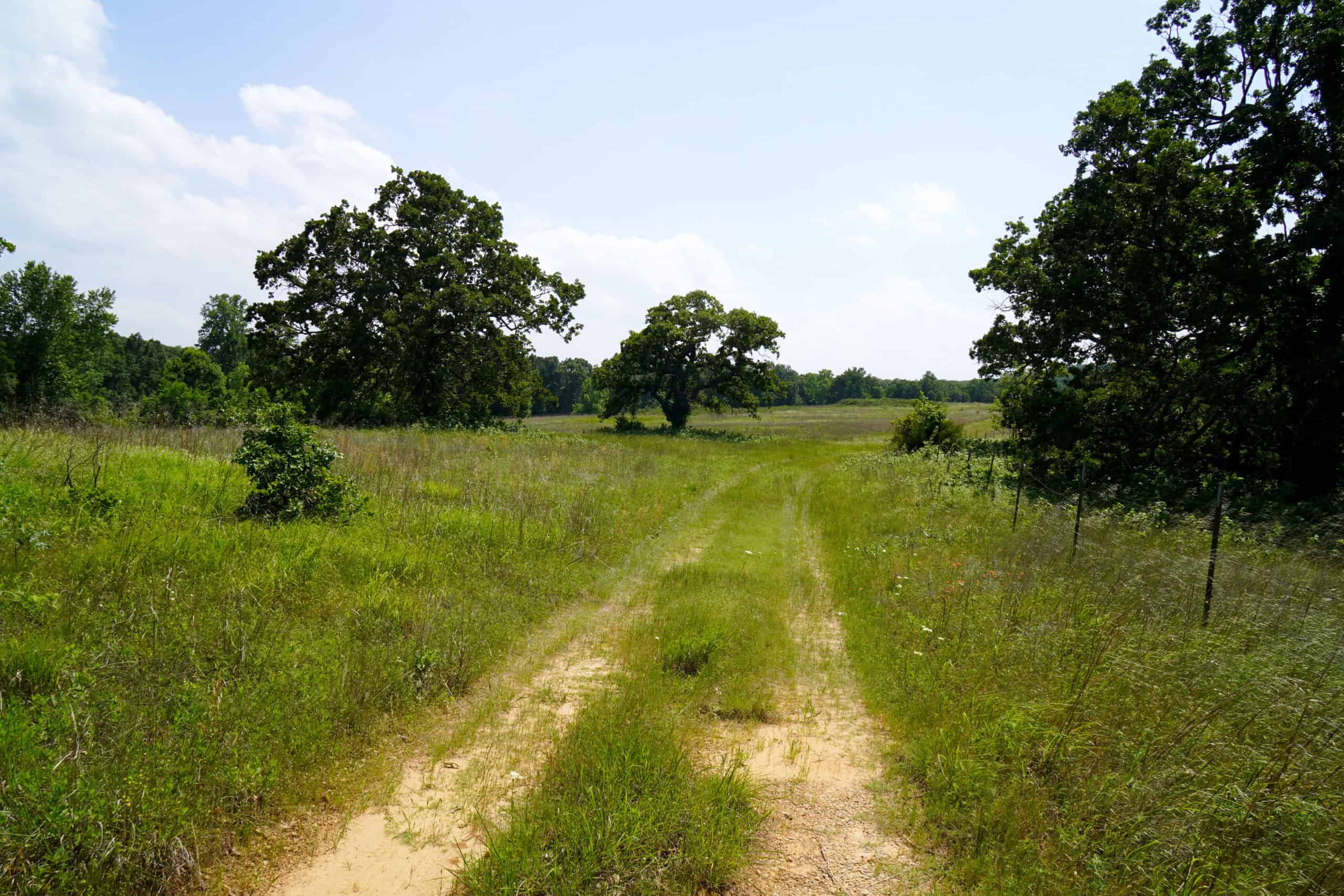 Creek County Recreational Homesite For Sale