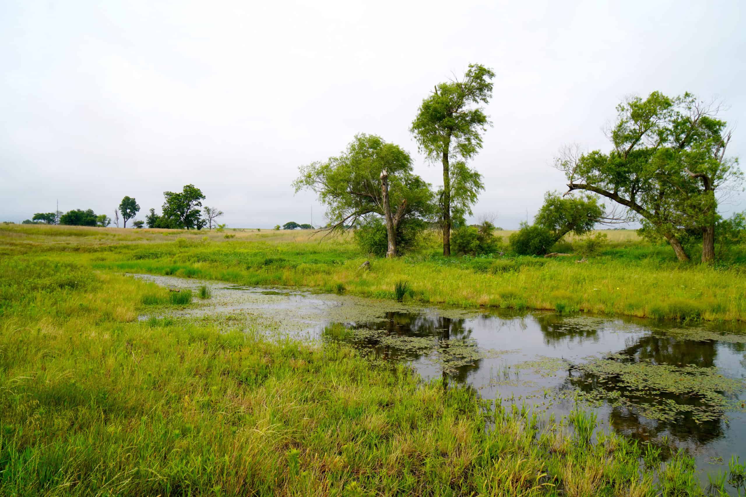 Productive Grassland Property For Sale Agra, Ok