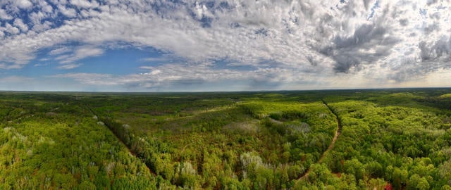 130 Acre Wisconsin Hunting Property for Sale in Marinette County WI