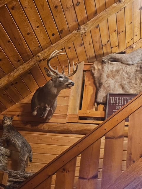 Trophy Whitetail Farm In NW Missouri For Sale – 45 Acres