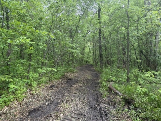 Trophy Whitetail Farm In NW Missouri For Sale – 45 Acres