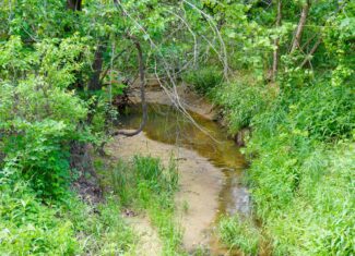 Creek County Recreational Homesite For Sale