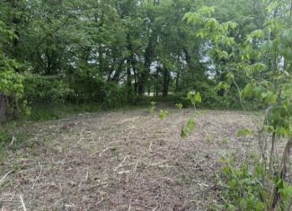 Trophy Whitetail Farm In NW Missouri For Sale – 45 Acres