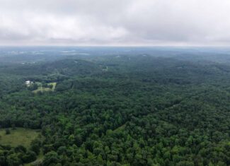 HUNTING LAND FOR SALE IN NORTH CENTRAL ARKANSAS