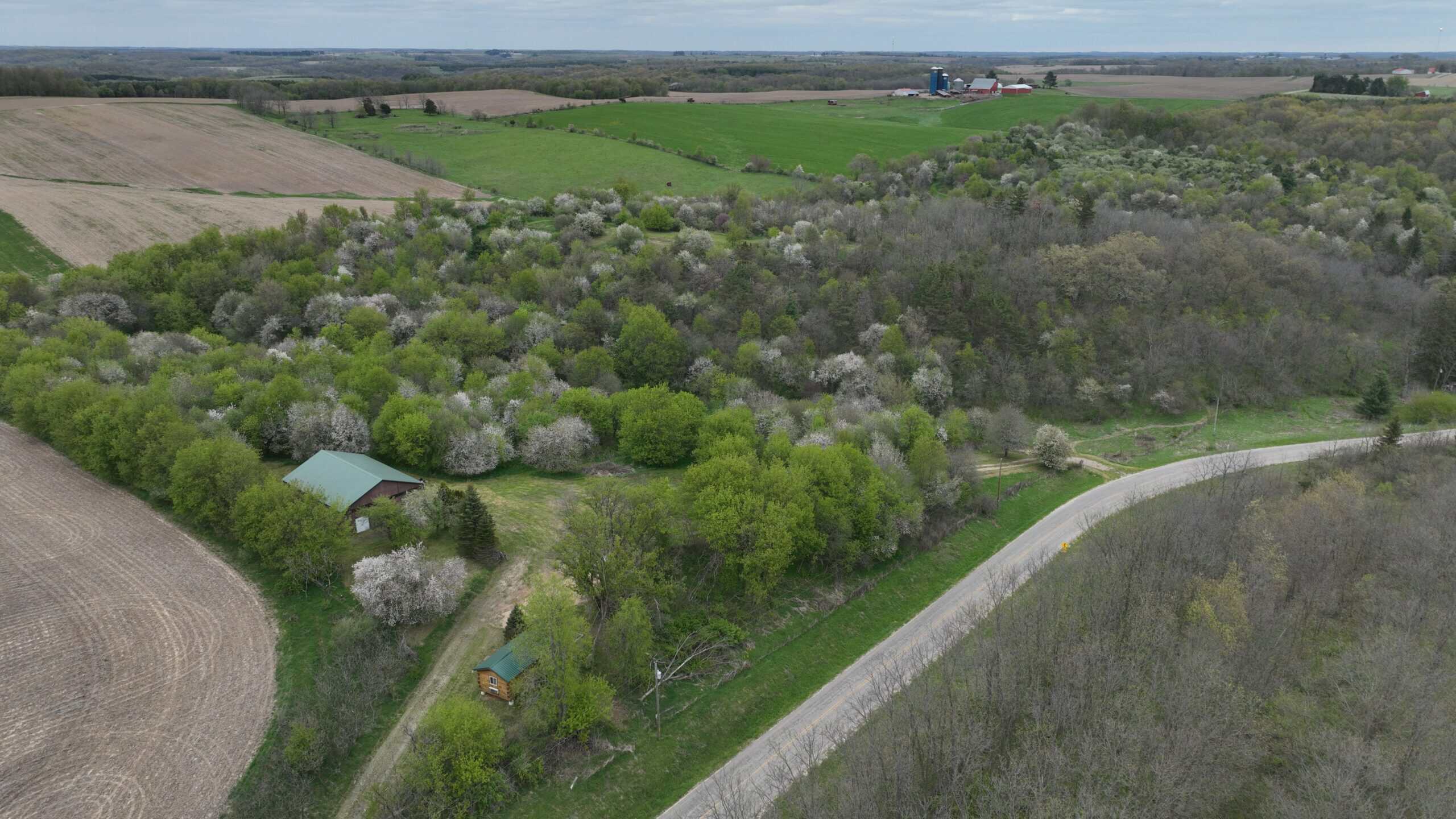 Turn-Key Driftless Hunting Sanctuary | 35± Acres | Cabin | Trophy Whitetail Paradise Near Viola, Wisconsin