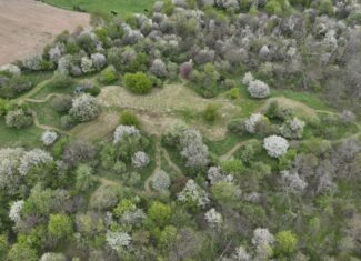 Turn-Key Driftless Hunting Sanctuary | 35± Acres | Cabin | Trophy Whitetail Paradise Near Viola, Wisconsin