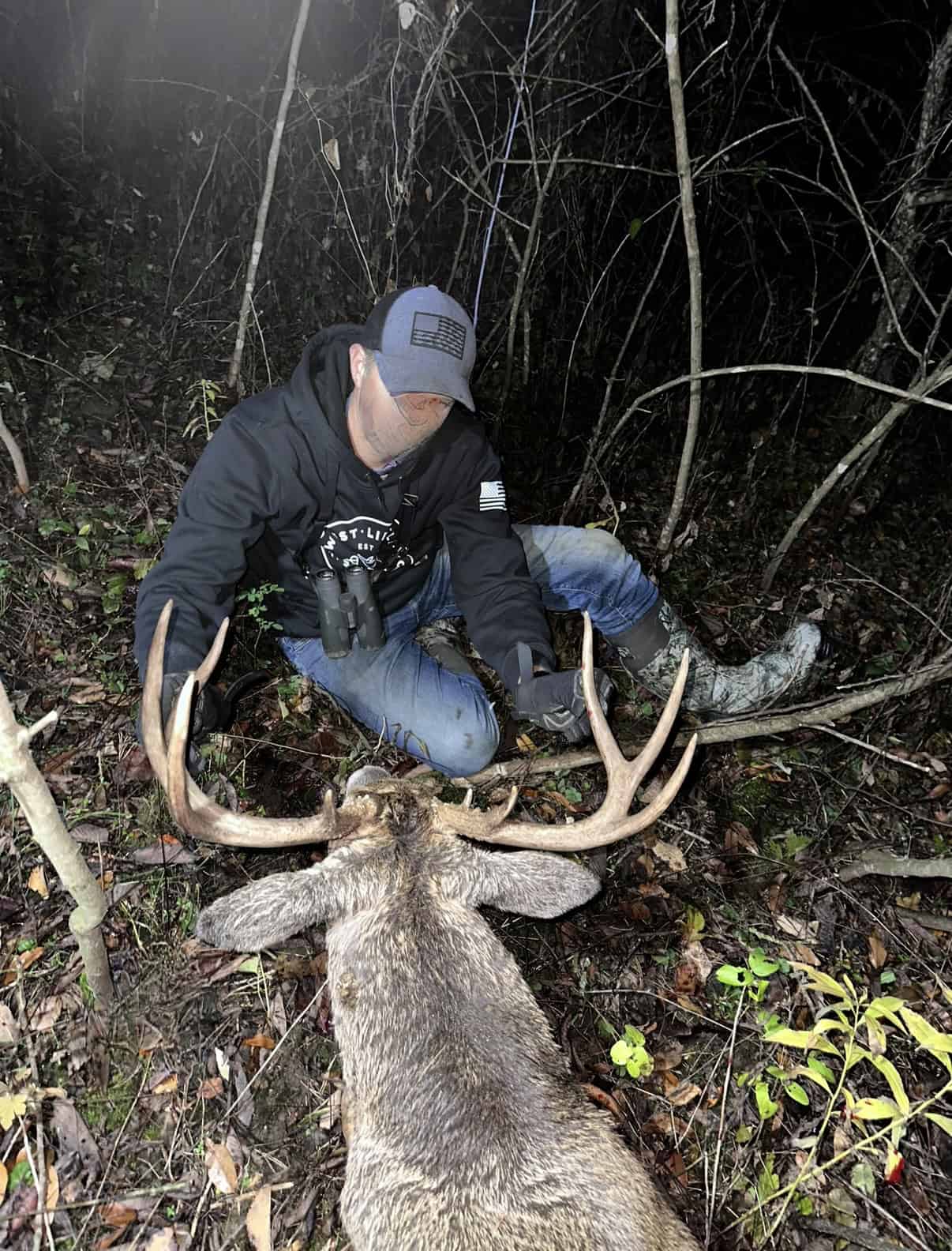 Turn-Key Driftless Hunting Sanctuary | 35± Acres | Cabin | Trophy Whitetail Paradise Near Viola, Wisconsin
