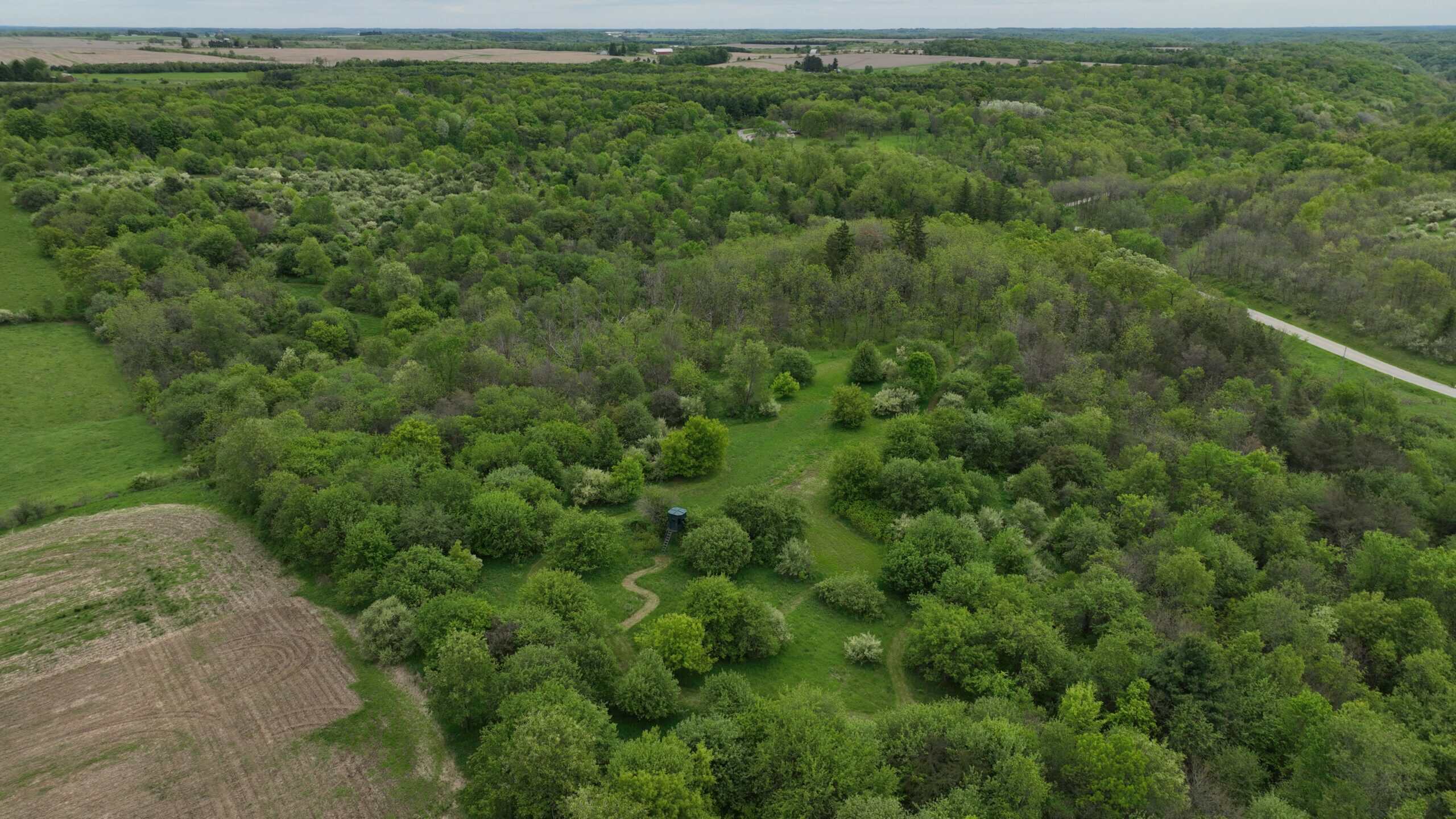 Turn-Key Driftless Hunting Sanctuary | 35± Acres | Cabin | Trophy Whitetail Paradise Near Viola, Wisconsin