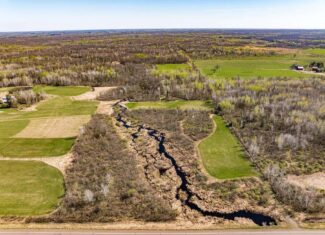 Building or Hunting Land For Sale in Pine County, MN