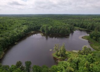 40 Acres Surrounded by 300,000 Acres of Public Land