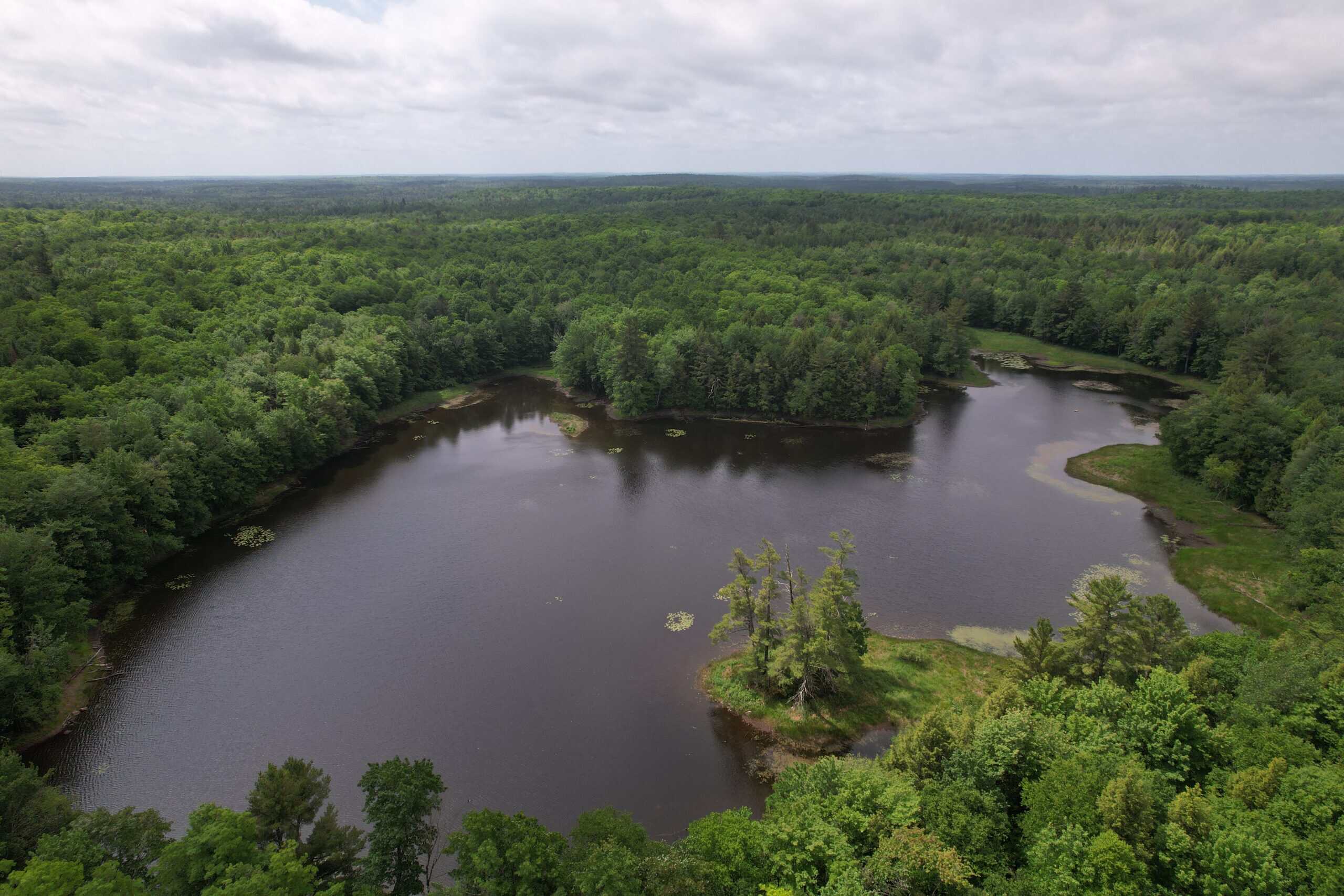 40 Acres Surrounded by 300,000 Acres of Public Land