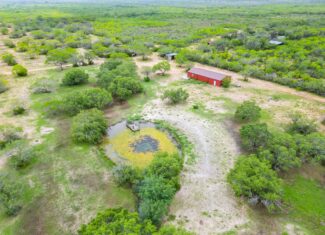 South Texas Dove Hunting Retreat