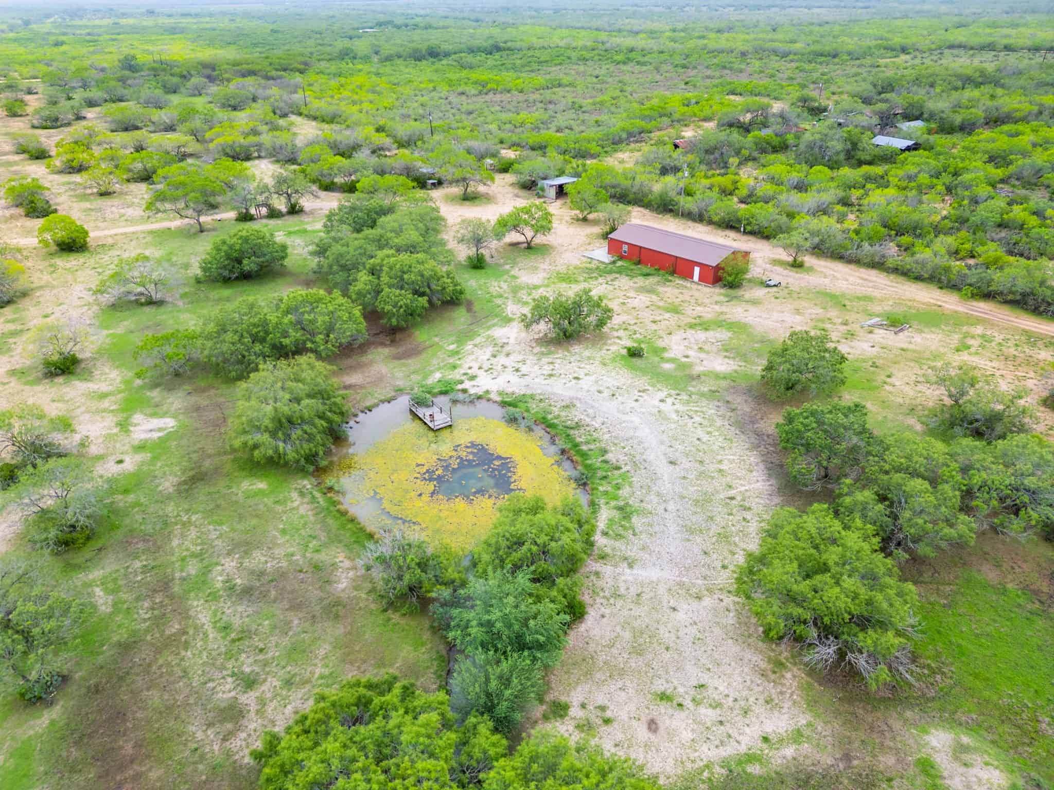 South Texas Dove Hunting Retreat