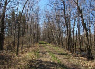 Hunting Land For Sale in Willow River, Minnesota