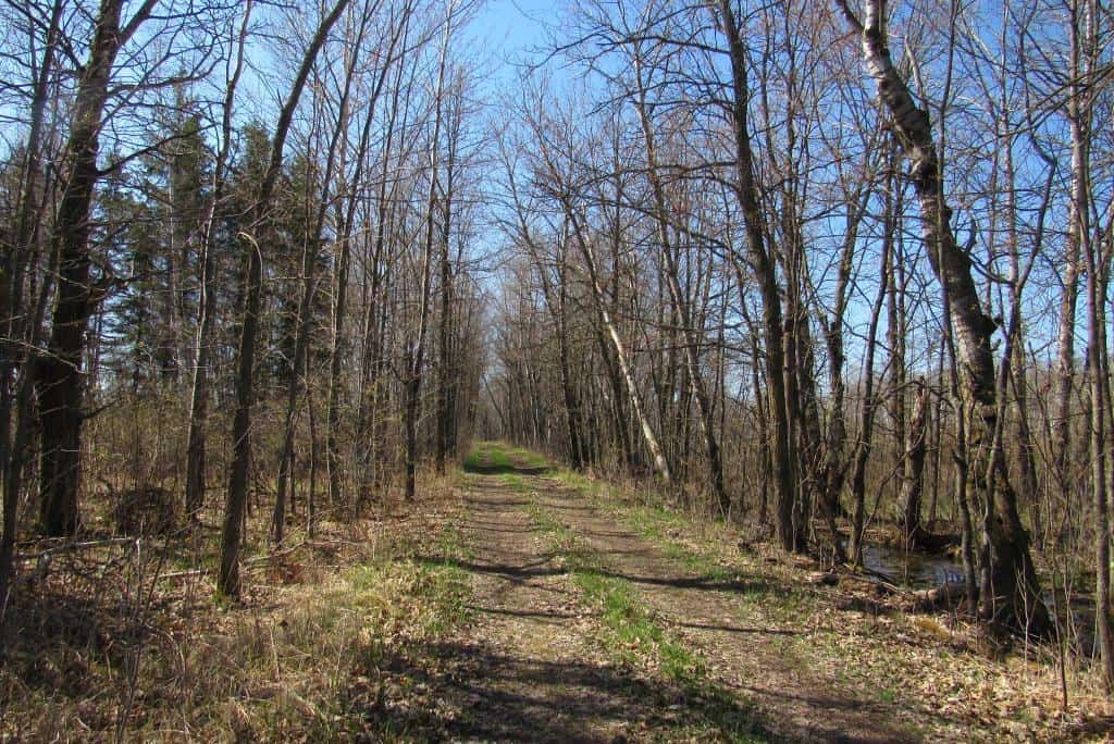 Hunting Land For Sale in Willow River, Minnesota