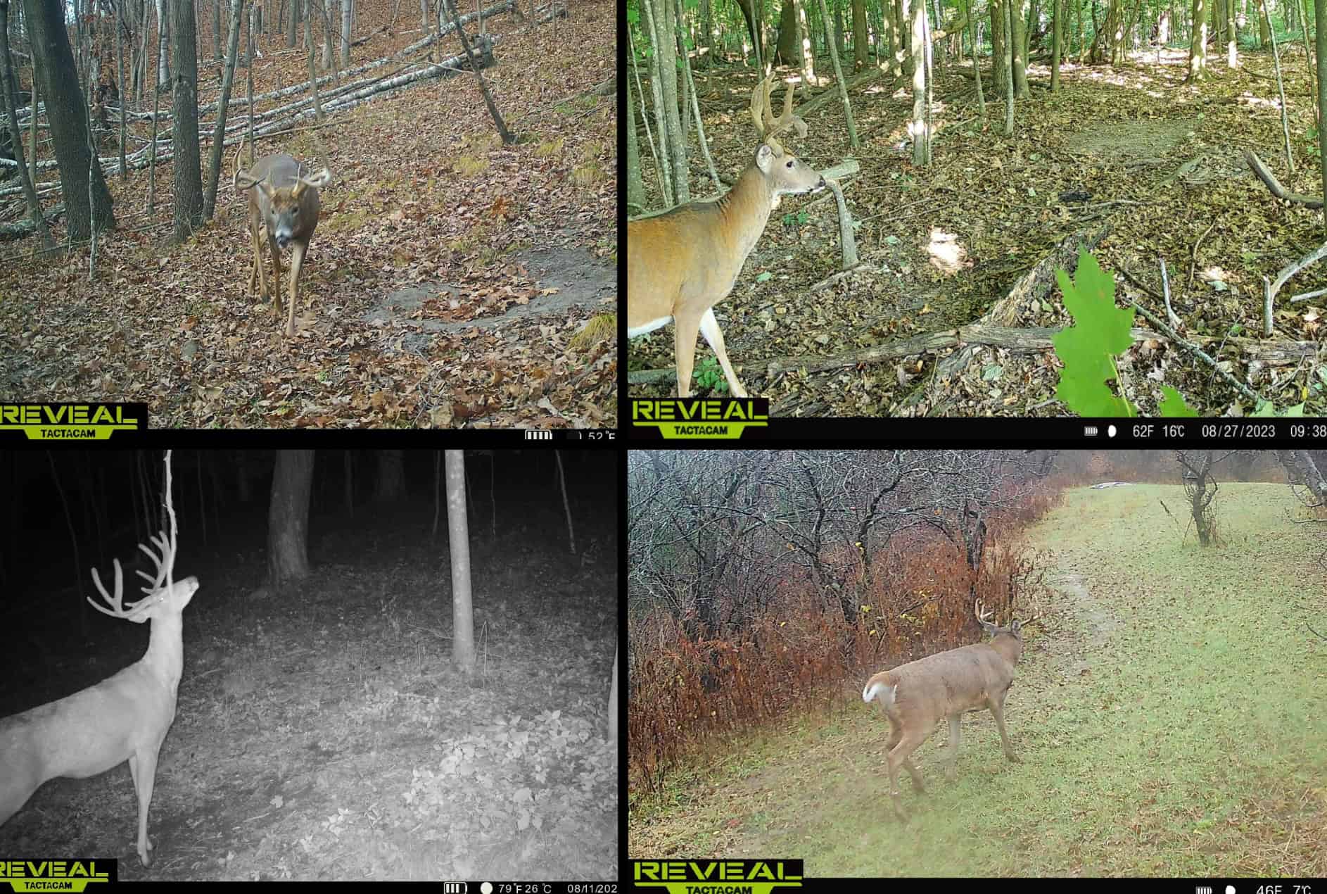 Scenic Country Home & Trophy Whitetail Retreat Near Wildcat Mountain State Park – 21.78 Acres in Vernon County, Wisconsin