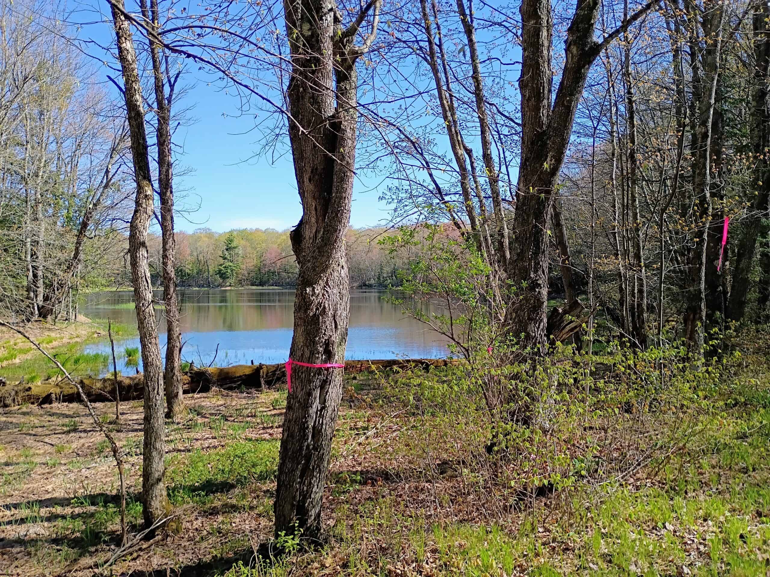 40 Acres Surrounded by 300,000 Acres of Public Land