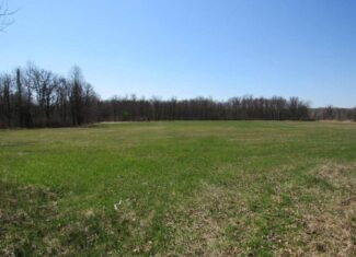 Building or Hunting Land For Sale in Pine County, MN
