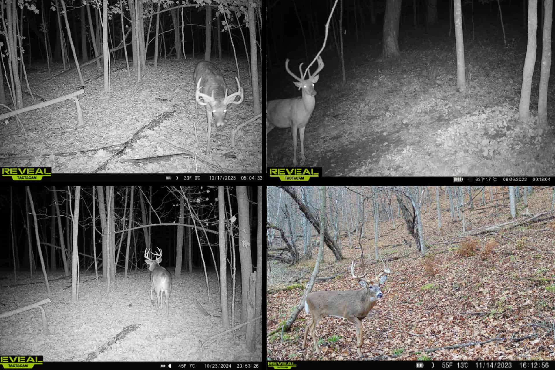 Scenic Country Home & Trophy Whitetail Retreat Near Wildcat Mountain State Park – 21.78 Acres in Vernon County, Wisconsin