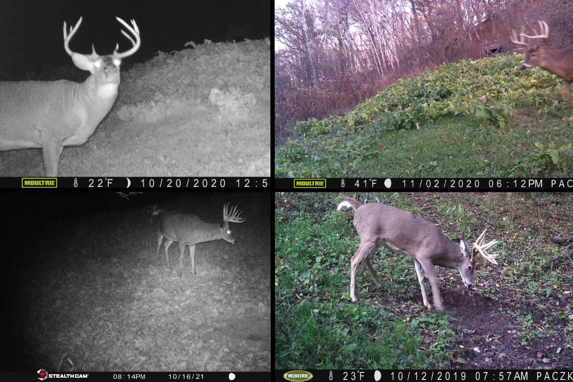 Scenic Country Home & Trophy Whitetail Retreat Near Wildcat Mountain State Park – 21.78 Acres in Vernon County, Wisconsin