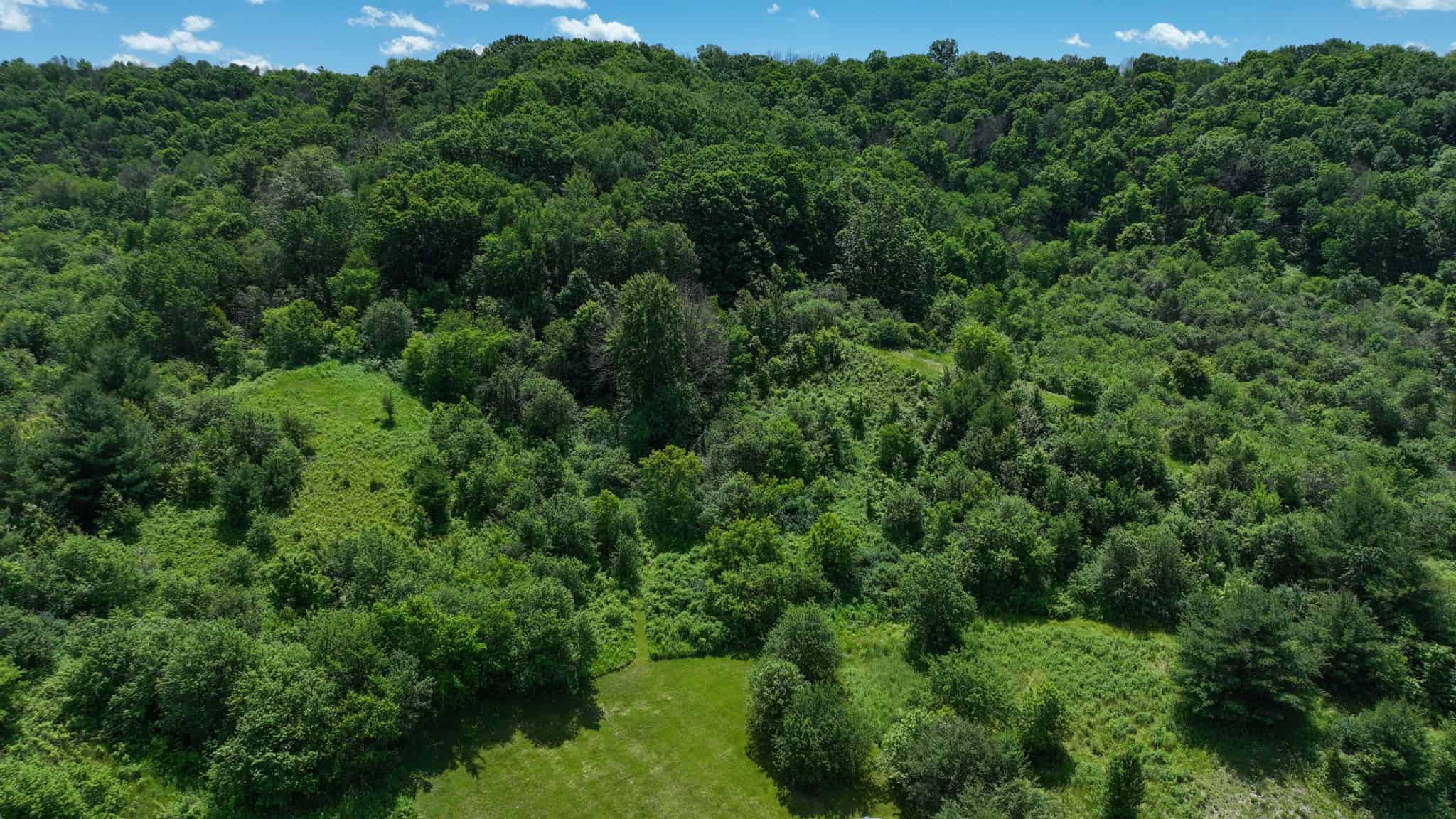 Scenic Country Home & Trophy Whitetail Retreat Near Wildcat Mountain State Park – 21.78 Acres in Vernon County, Wisconsin