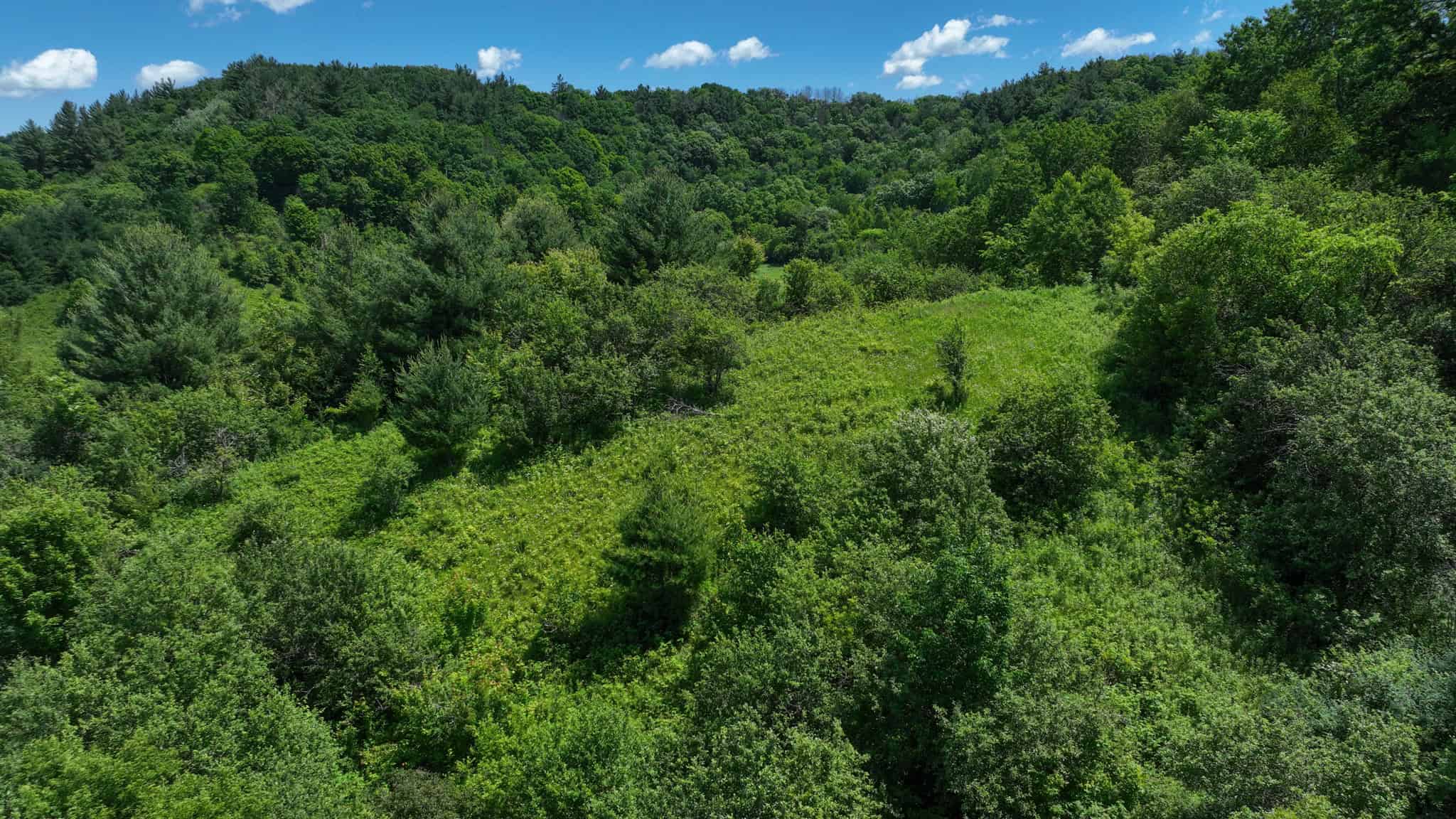 Scenic Country Home & Trophy Whitetail Retreat Near Wildcat Mountain State Park – 21.78 Acres in Vernon County, Wisconsin
