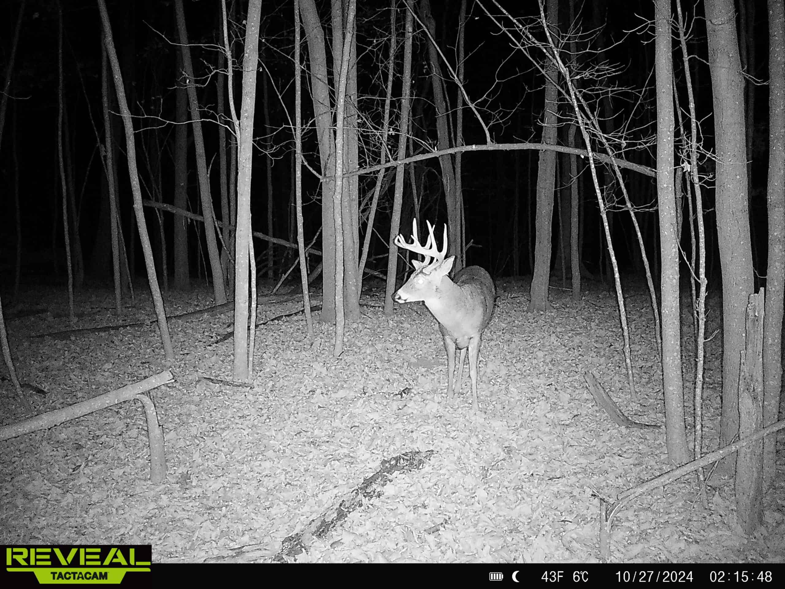 Scenic Country Home & Trophy Whitetail Retreat Near Wildcat Mountain State Park – 21.78 Acres in Vernon County, Wisconsin