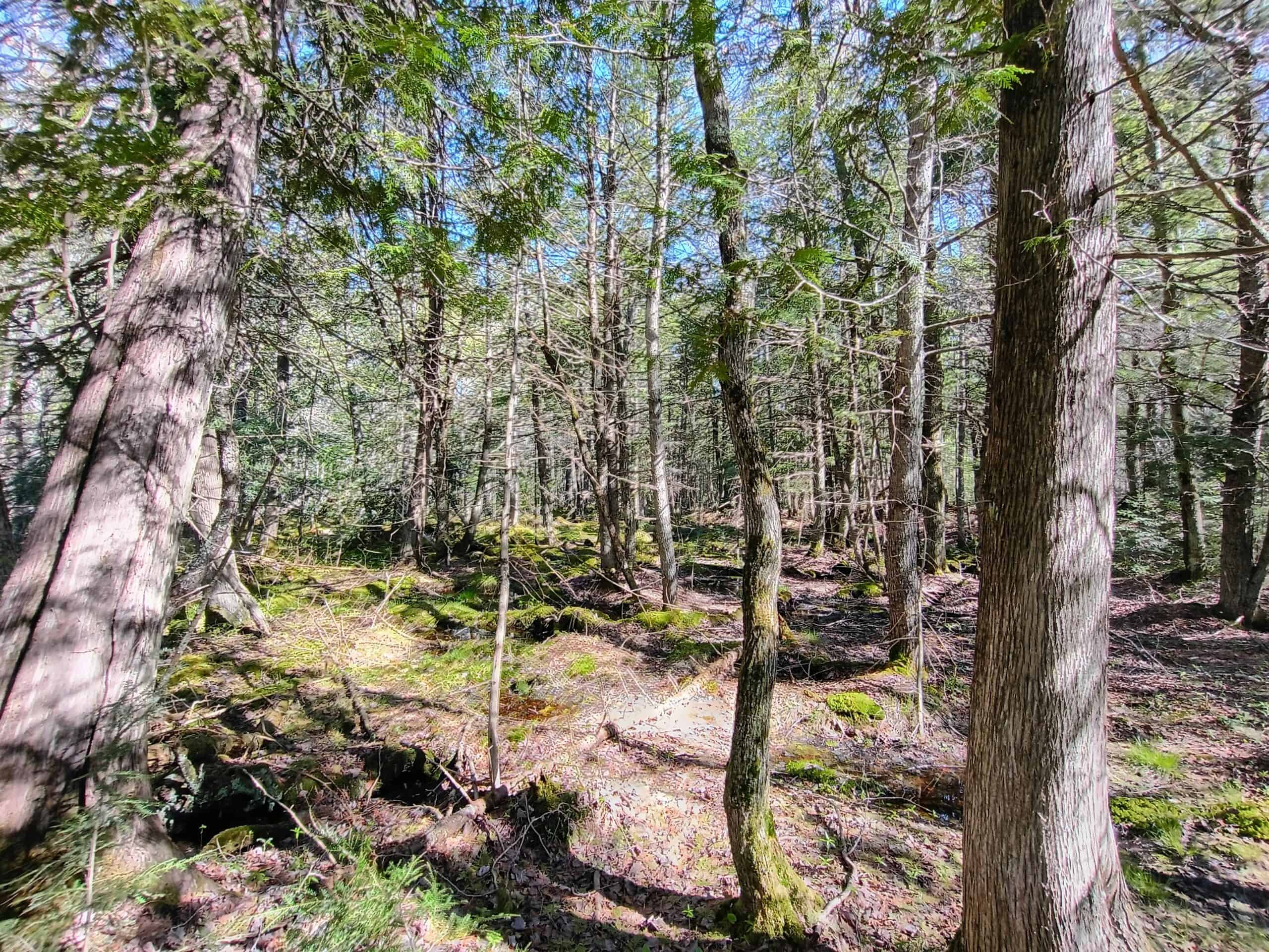 40 Acres Surrounded by 300,000 Acres of Public Land