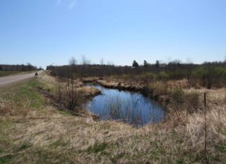 Building or Hunting Land For Sale in Pine County, MN