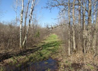 Hunting Land For Sale in Willow River, Minnesota