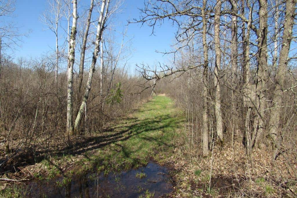 Hunting Land For Sale in Willow River, Minnesota