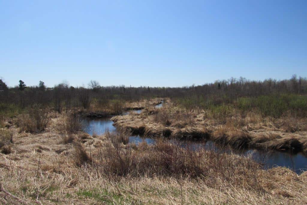 Building or Hunting Land For Sale in Pine County, MN