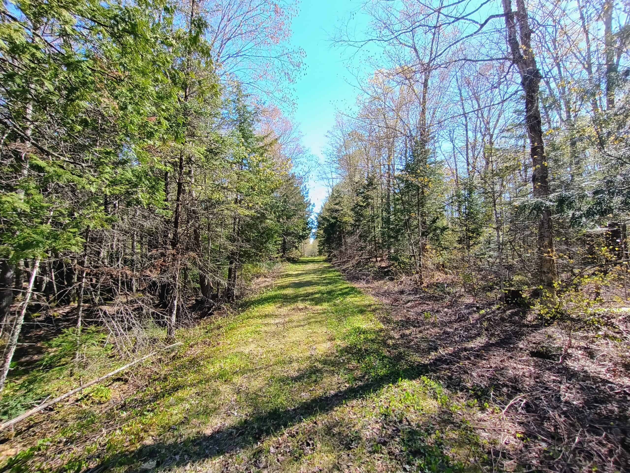 40 Acres Surrounded by 300,000 Acres of Public Land