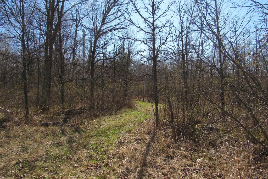 Building or Hunting Land For Sale in Pine County, MN