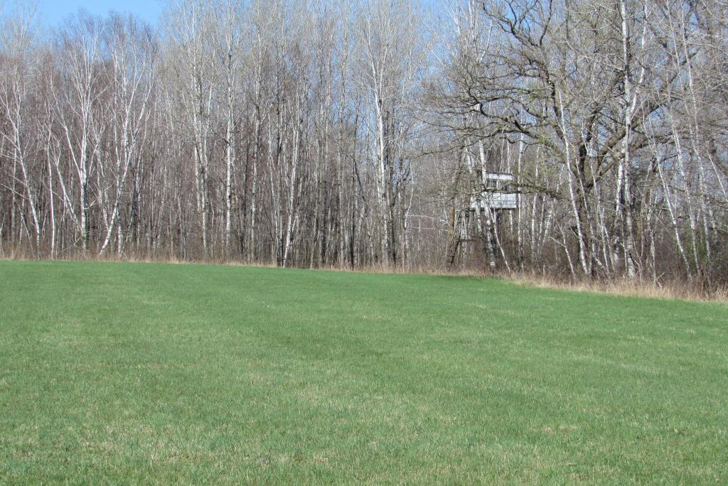 Hunting Land For Sale in Willow River, Minnesota