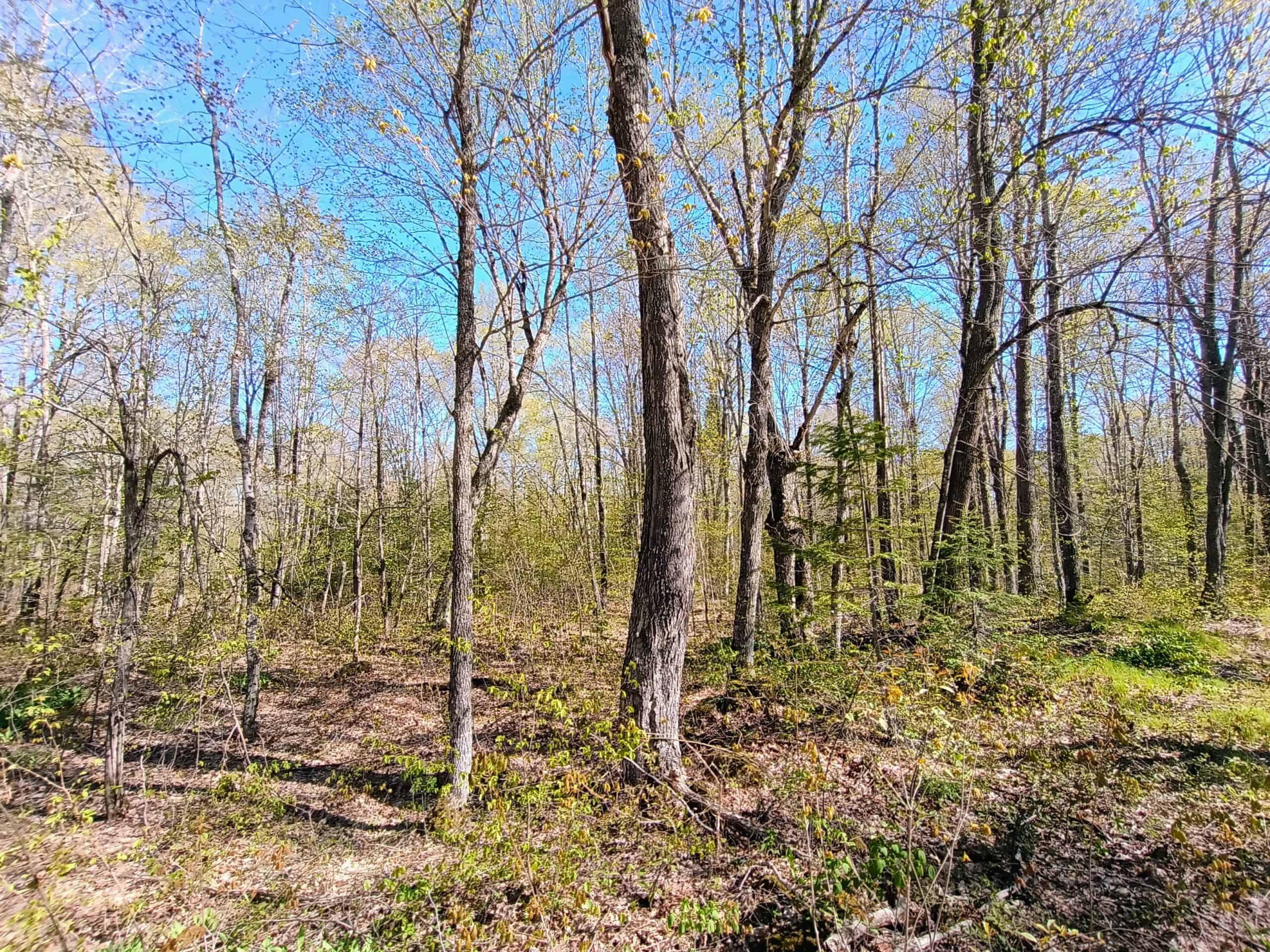 40 Acres Surrounded by 300,000 Acres of Public Land