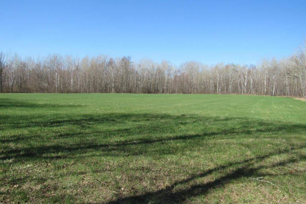 Hunting Land For Sale in Willow River, Minnesota
