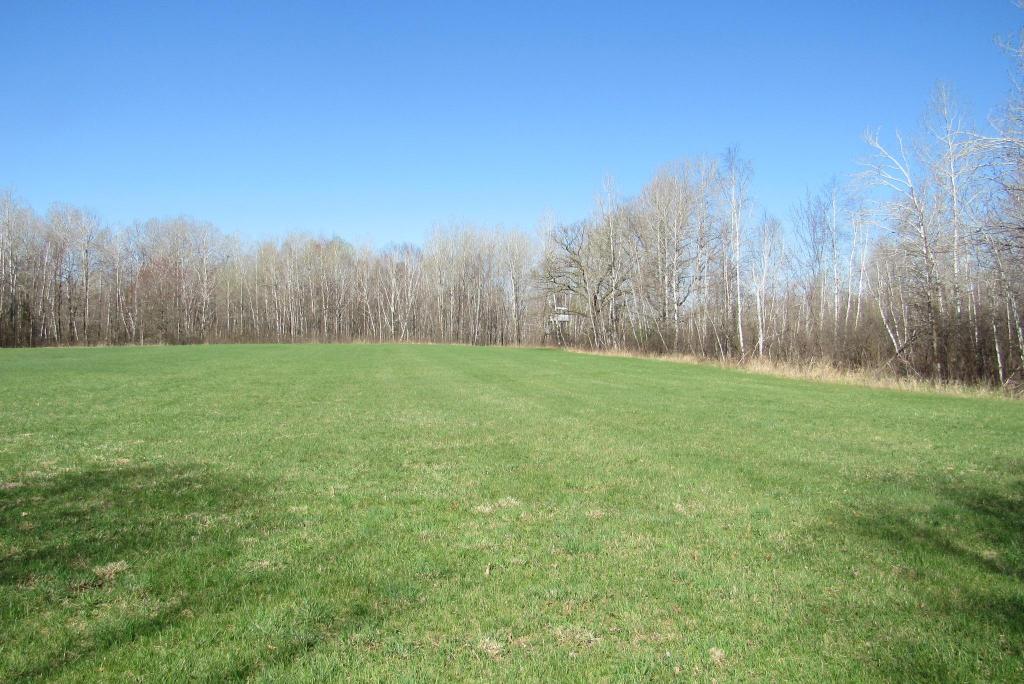 Hunting Land For Sale in Willow River, Minnesota