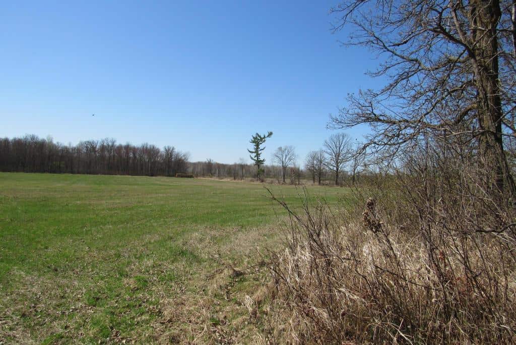 Building or Hunting Land For Sale in Pine County, MN