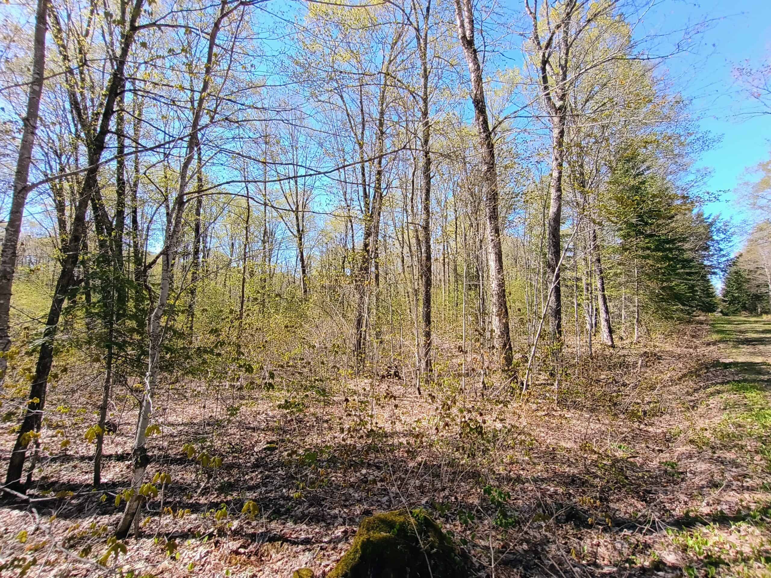 40 Acres Surrounded by 300,000 Acres of Public Land