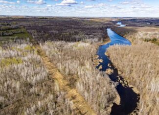 142 Acres of Prime Hunting & Riverfront Land Near Moose Lake