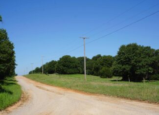 20 Acres +/- in Lincoln County For Sale
